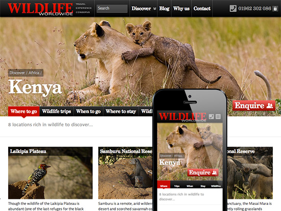 Part of Wildlife Worldwide's Kenya page
